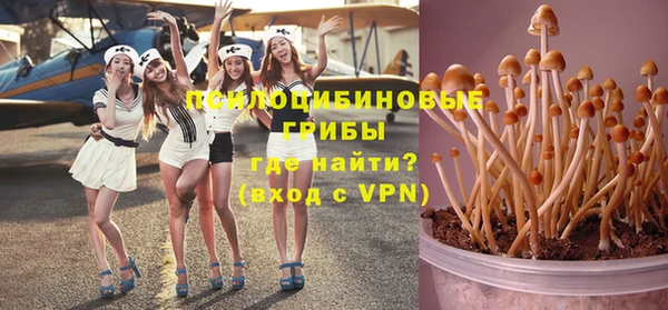 прущий лед Белокуриха